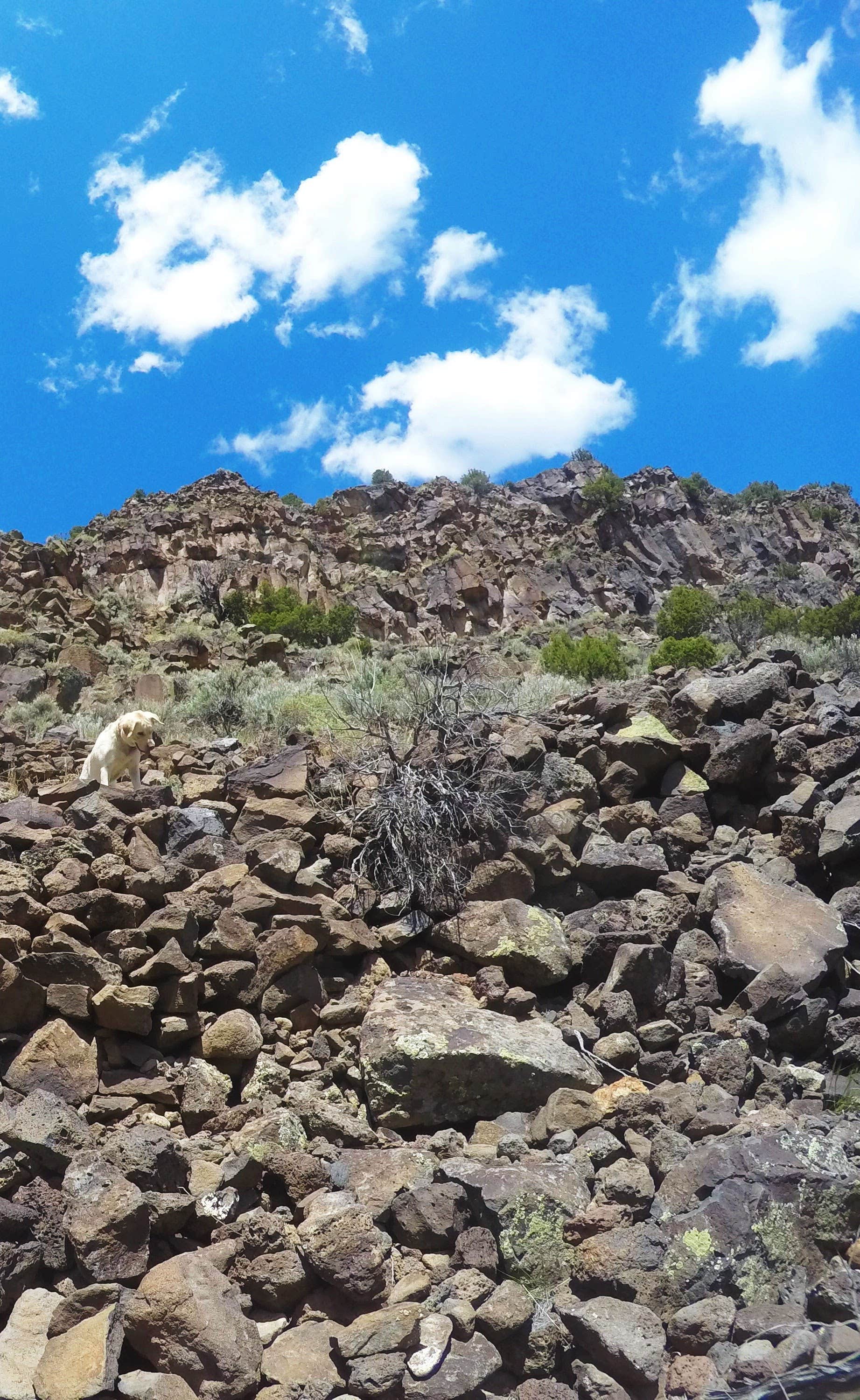 Camper submitted image from El Aguaje Campground - 2