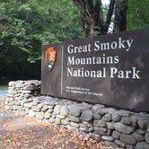 Review photo of Elkmont Campground — Great Smoky Mountains National Park by Gretchen N., September 30, 2016