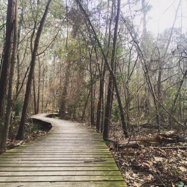 Camper submitted image from Huntsville State Park Campground - 4