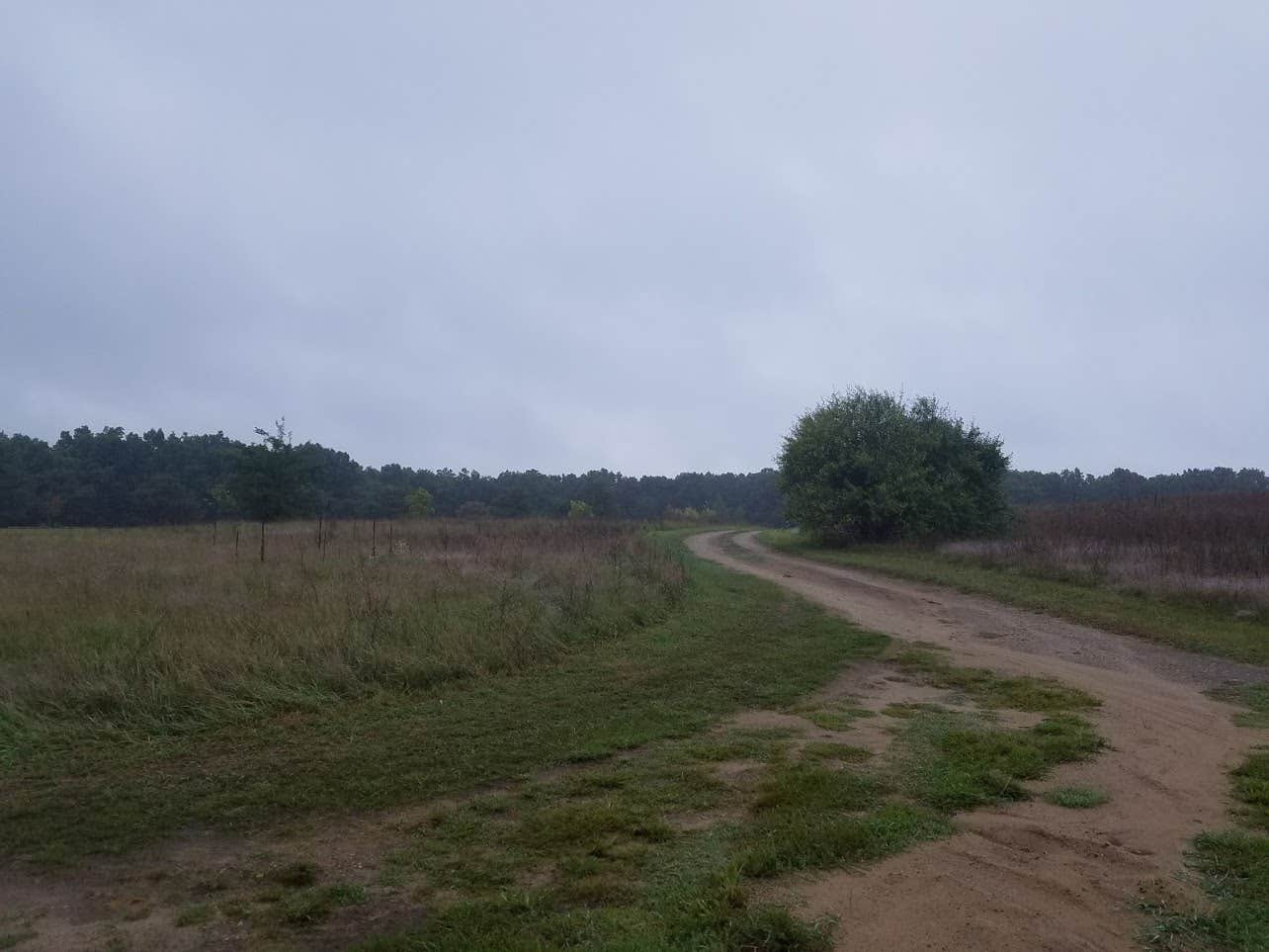 Camper submitted image from Fort Custer Recreation Area - 3