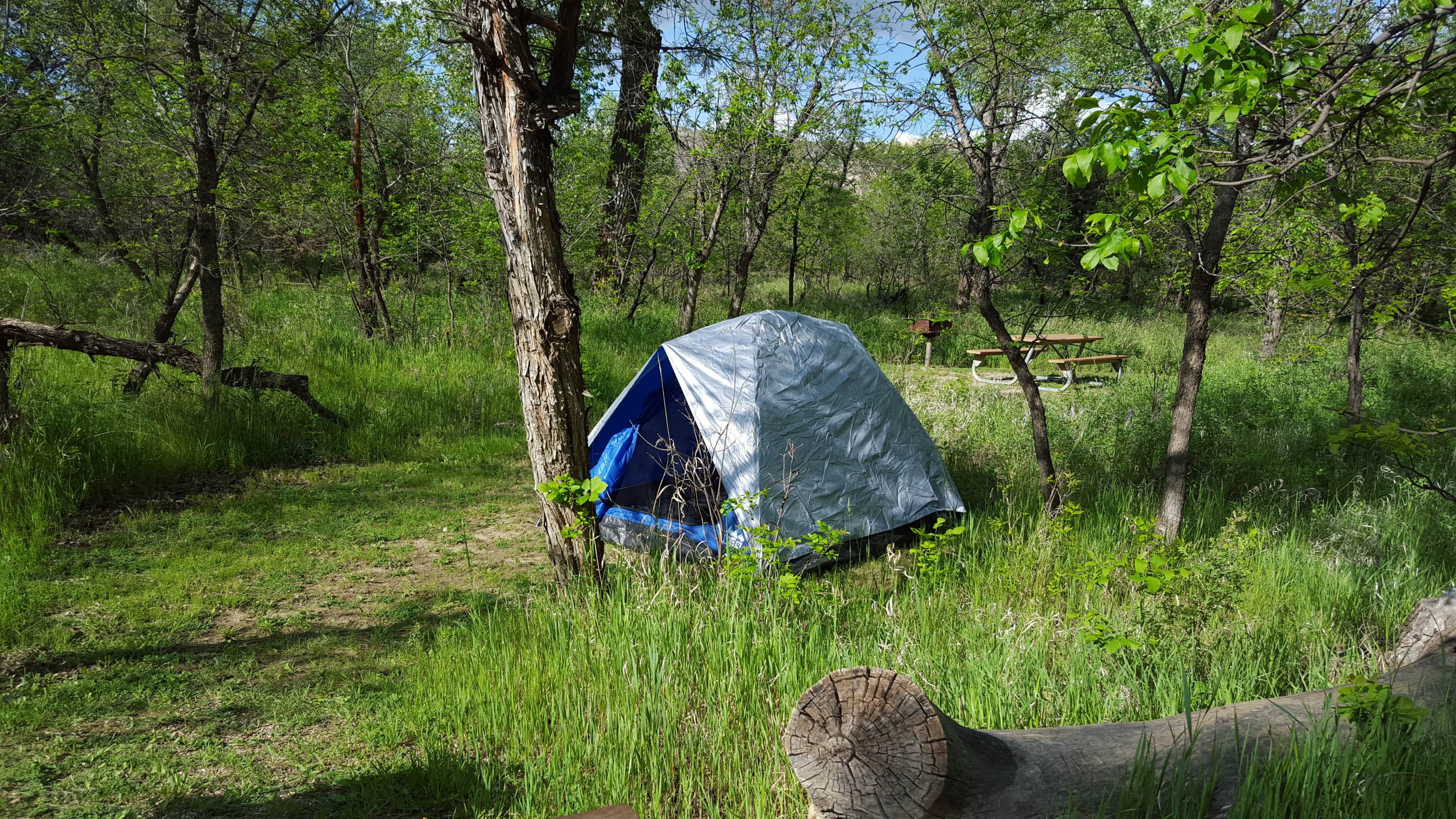 Camper submitted image from Juniper Campground — Theodore Roosevelt National Park - 4