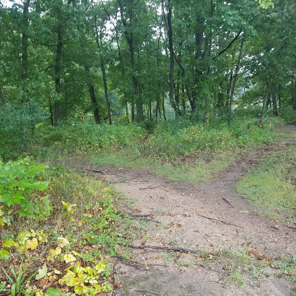 Escape to Nature's Embrace: A Guide to Michigan's Fort Custer State Recreation Area