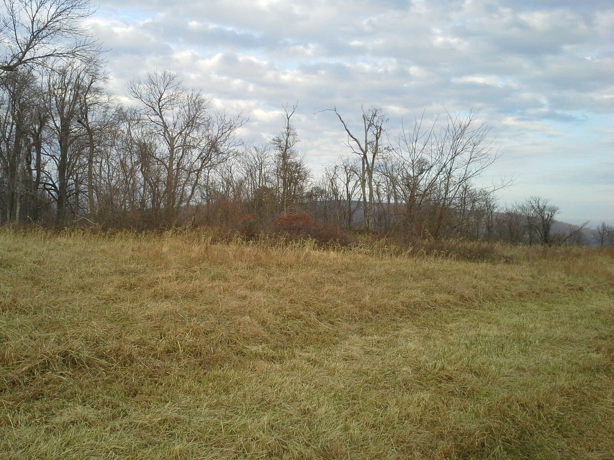 Camper submitted image from Sky Meadows State Park Campground - 2