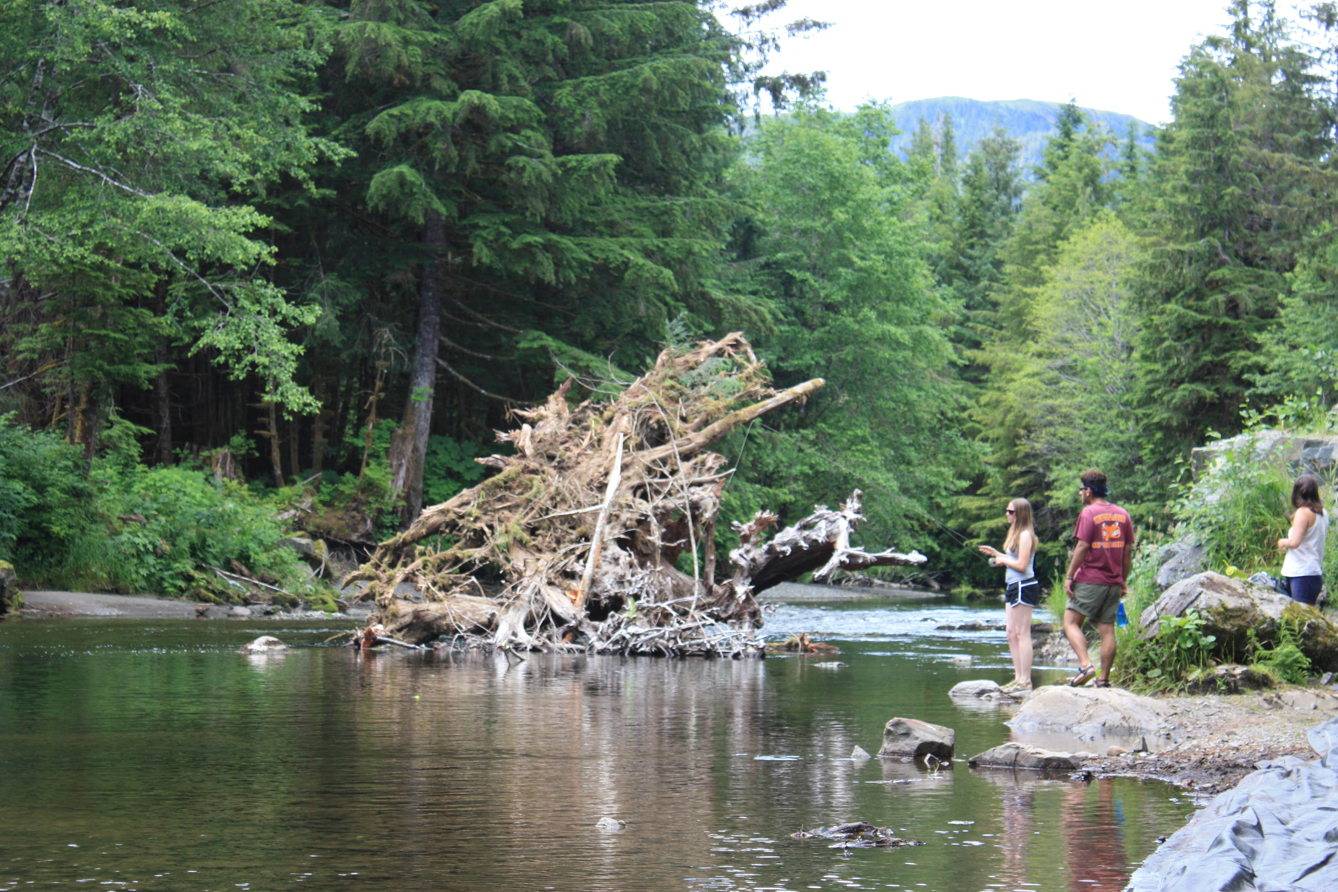 Camper submitted image from Harris River - 4