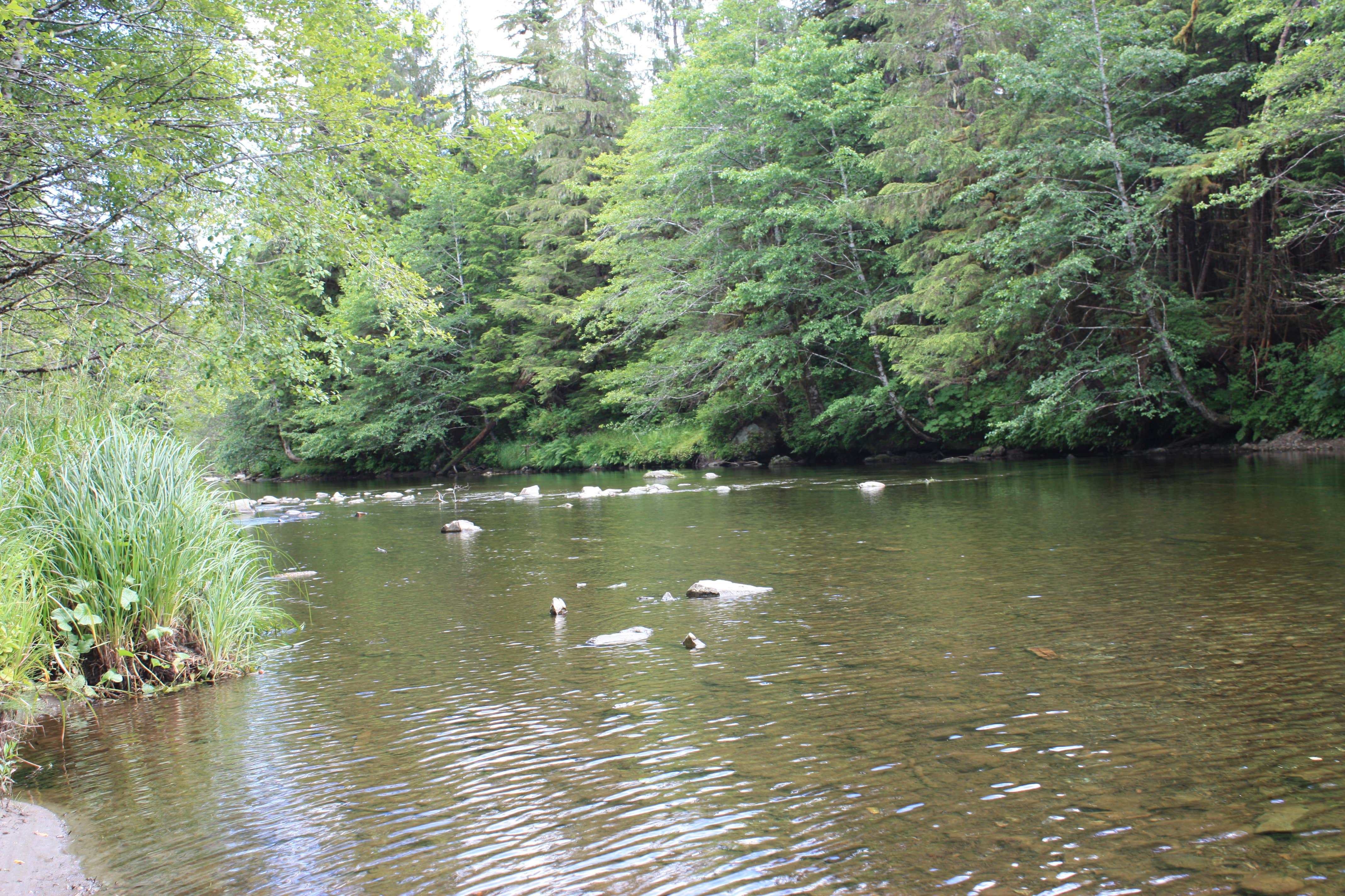 Camper-submitted photo at Harris River near Craig, AK