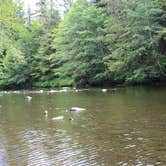 Review photo of Harris River by Katie K., September 30, 2016