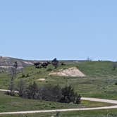 Review photo of Juniper Campground — Theodore Roosevelt National Park by Tonya T., June 13, 2016