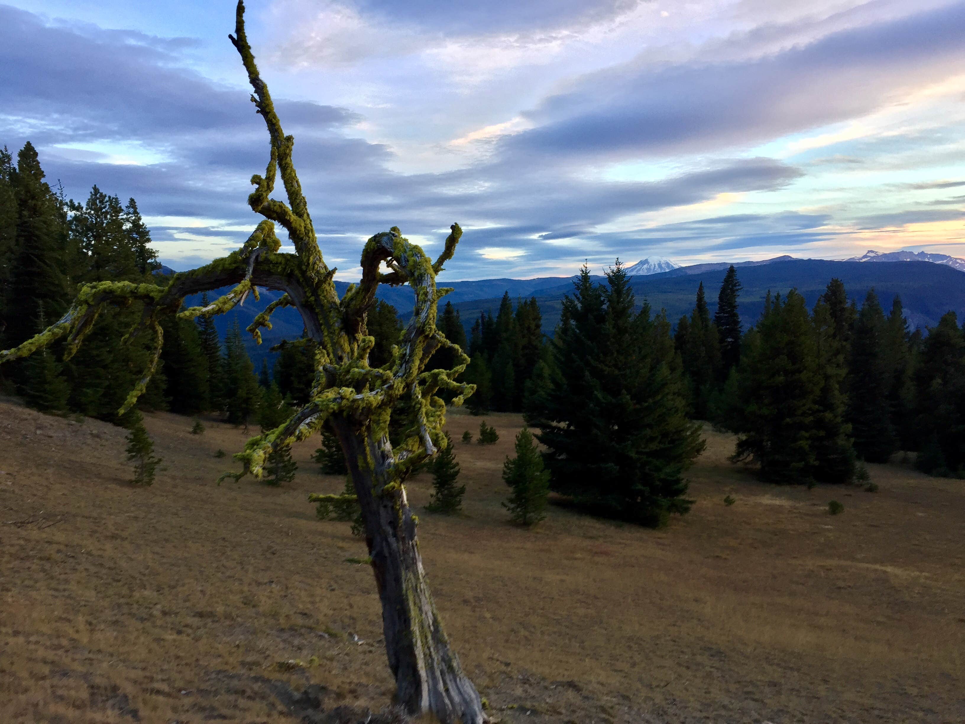 Camper-submitted photo at Eagle Creek Campground near Yellowstone National Park