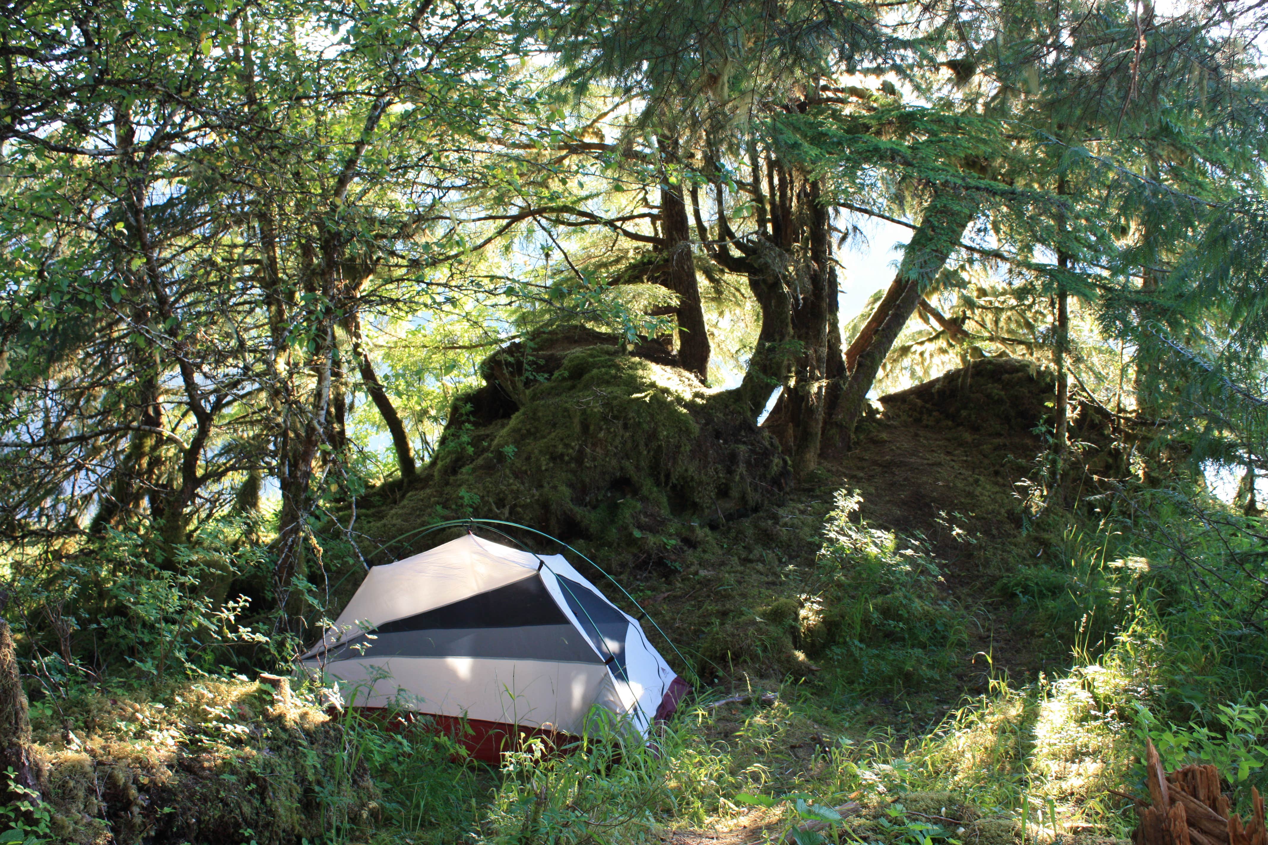 Katie K.'s photo at Twelvemile Cabin near Ketchikan, AK