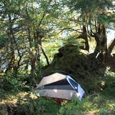 Review photo of Twelvemile Cabin by Katie K., September 30, 2016