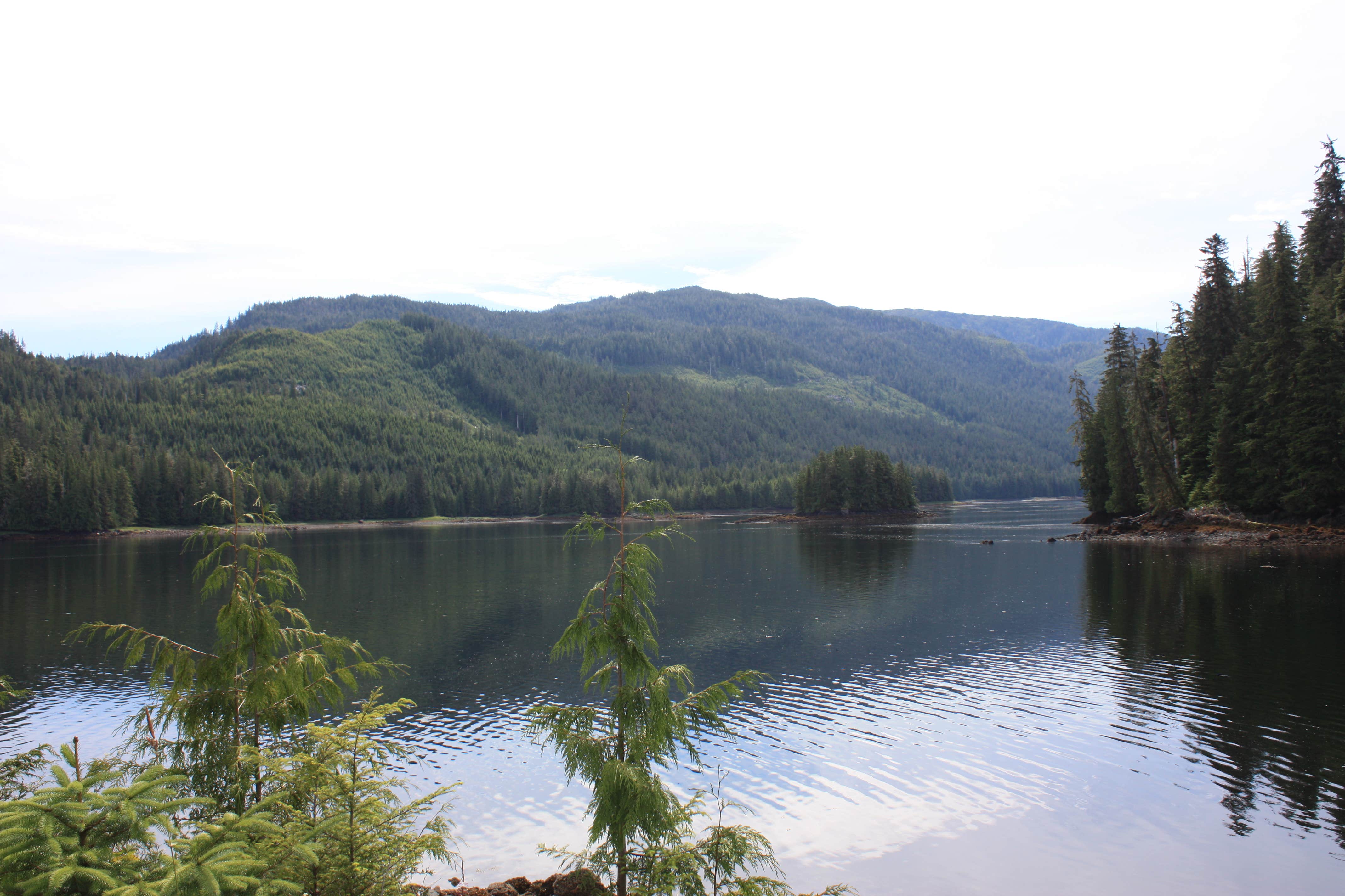 Camper submitted image from Twelvemile Cabin - 4