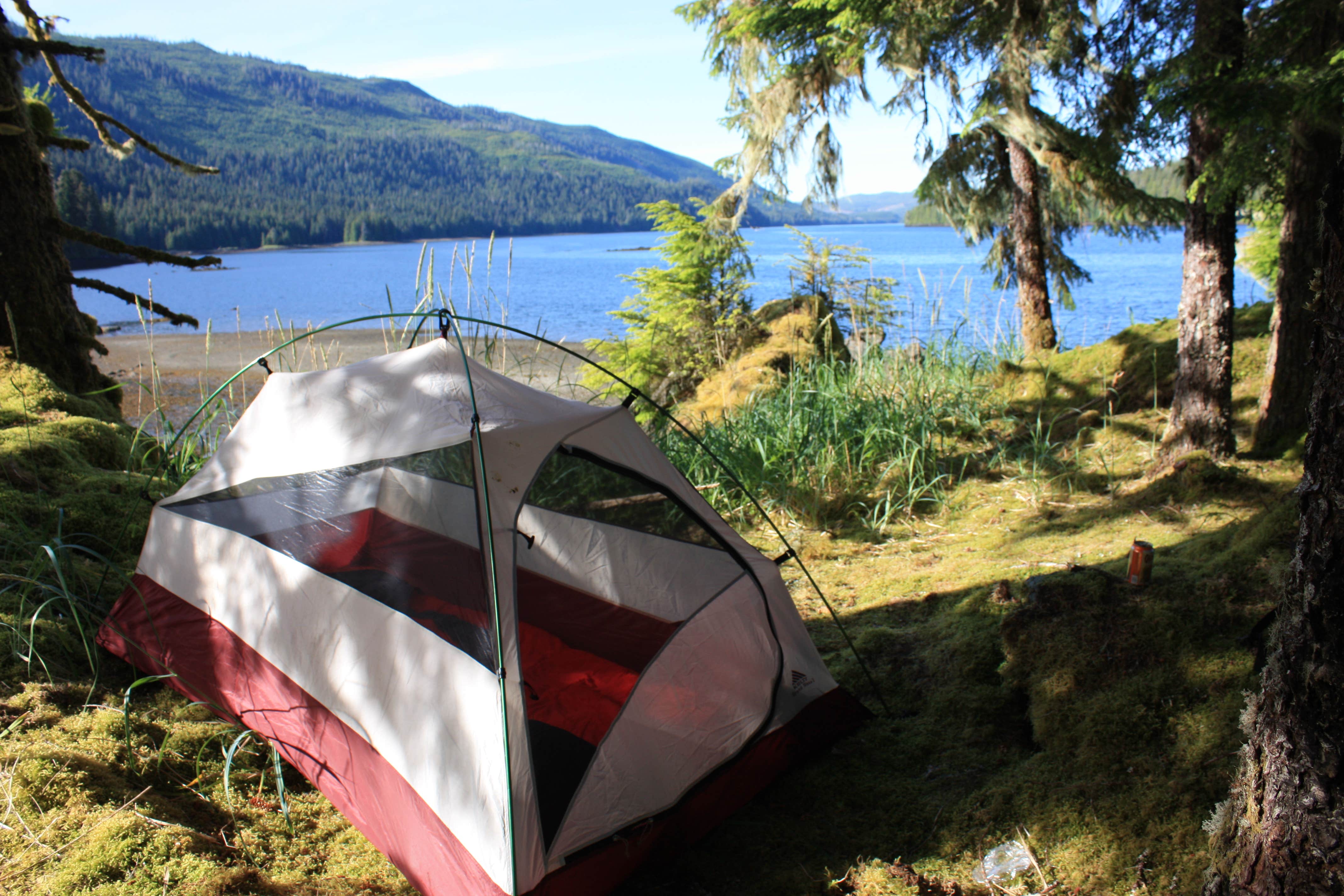 Katie K.'s photo at Twelvemile Cabin near Ketchikan, AK