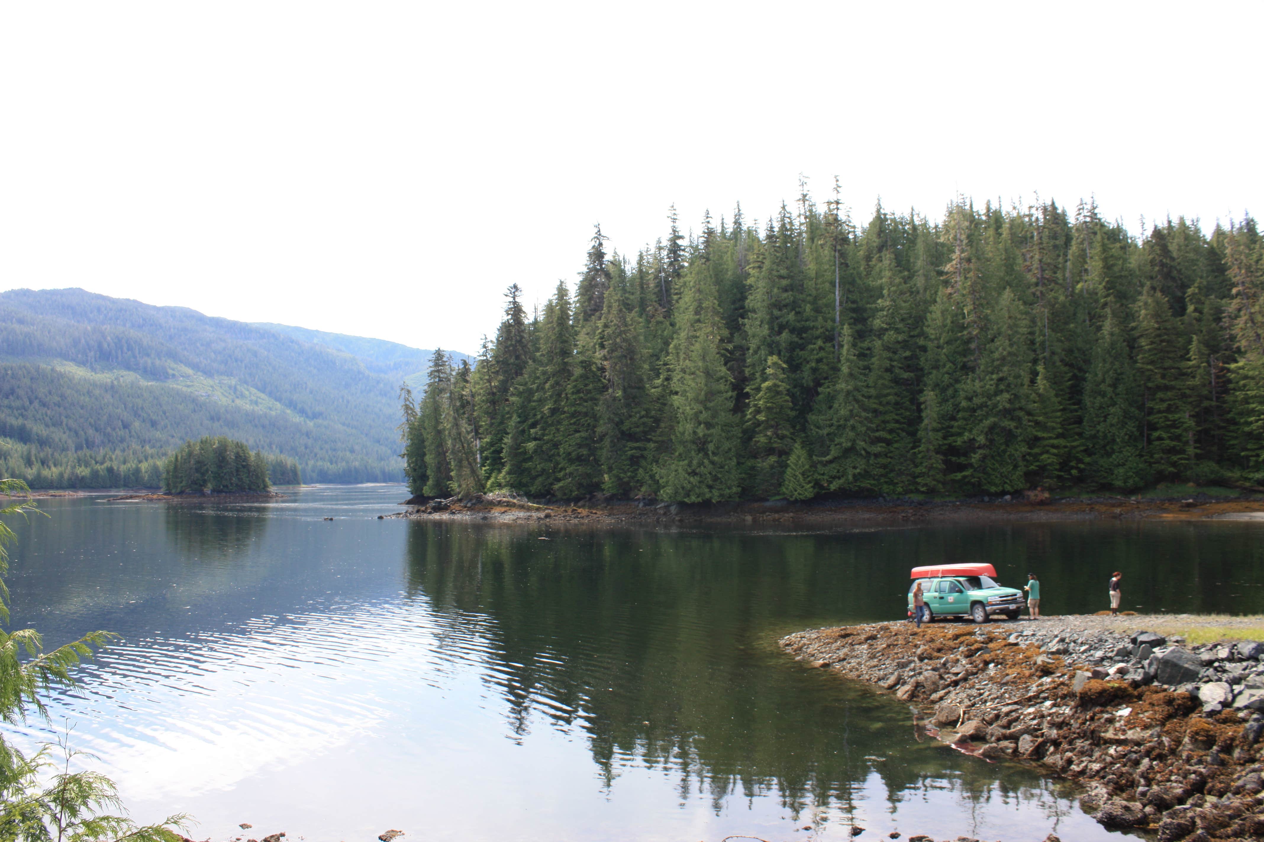 Camper submitted image from Twelvemile Cabin - 4