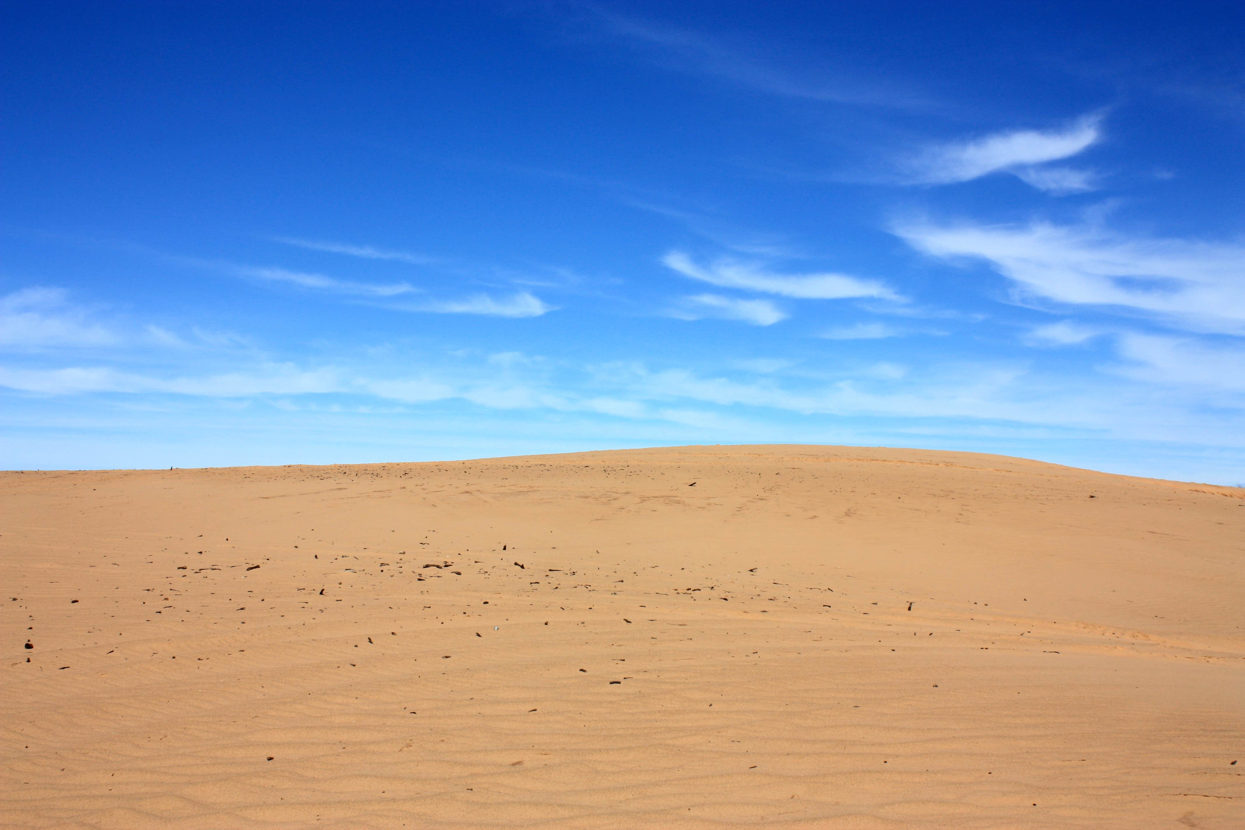 Camper submitted image from Buttercup — Little Sahara State Park - 2