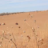 Review photo of Buttercup — Little Sahara State Park by Katie K., September 30, 2016