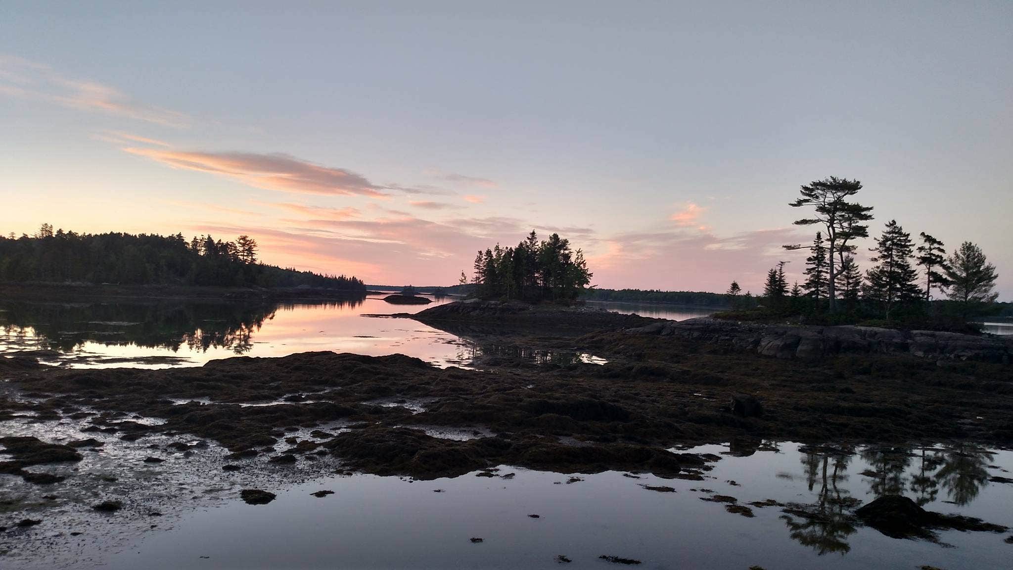 Cobscook Bay State Park Campground