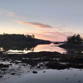 Review photo of Cobscook Bay State Park Campground by Tarah W., June 13, 2016