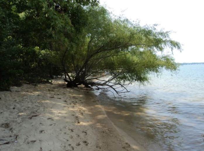 Camper-submitted photo at Stateline Campground near Robertson, WY