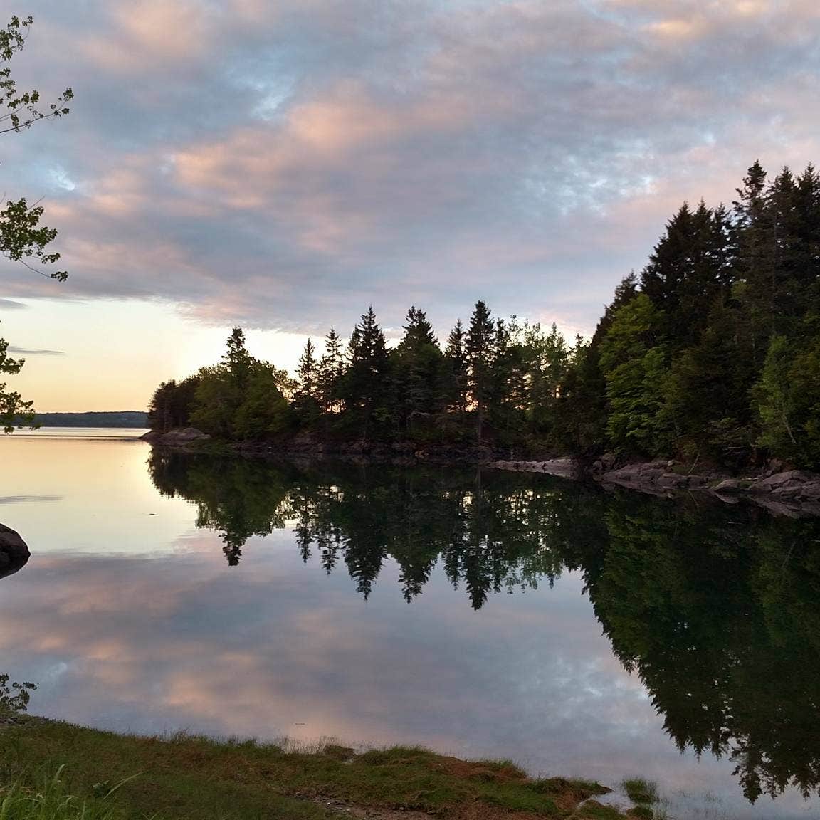 Cobscook Bay State Park Camping  The Dyrt