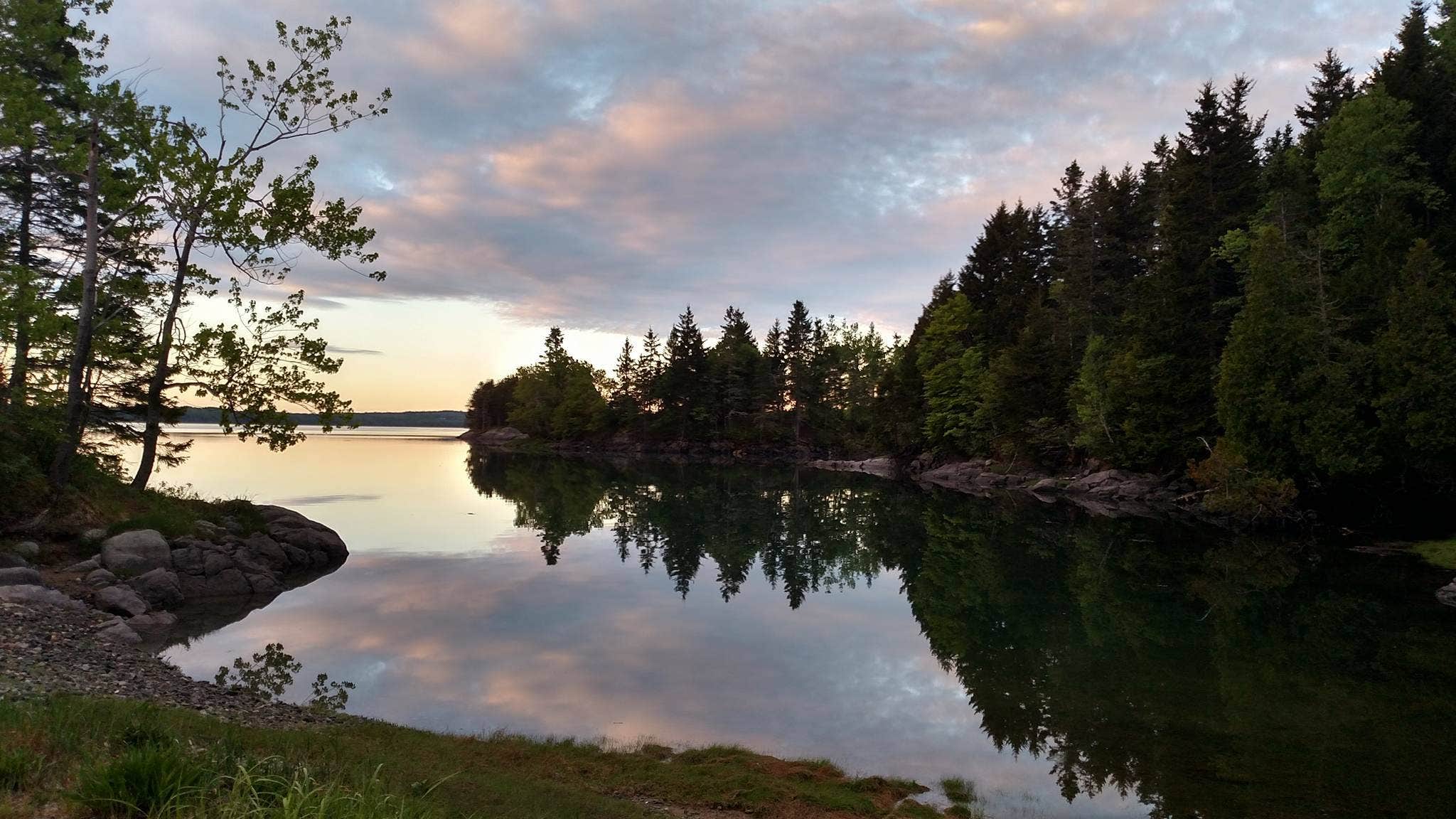 Camper submitted image from Cobscook Bay State Park Campground - 4