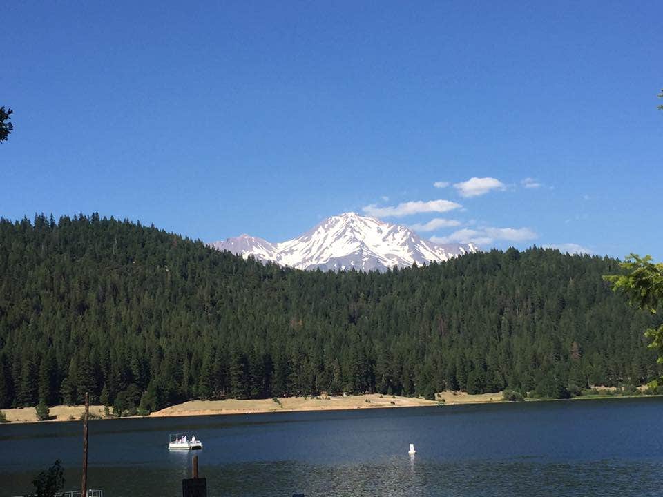 Camper submitted image from Siskiyou Beach and Camp - 3