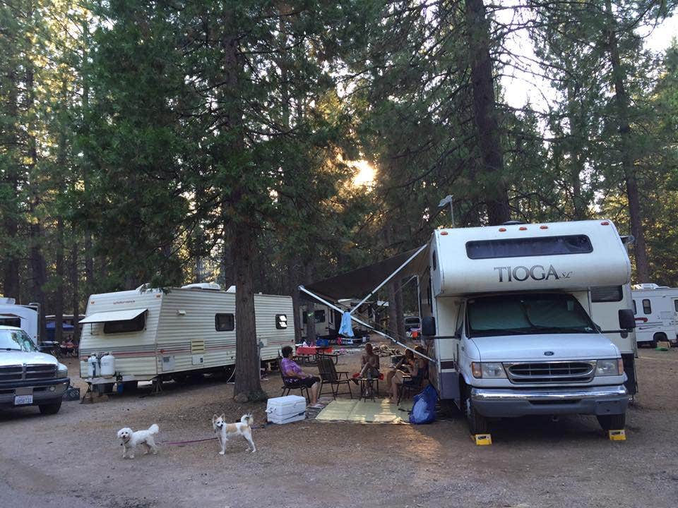 Camper-submitted photo at Siskiyou Beach and Camp near Weed, CA