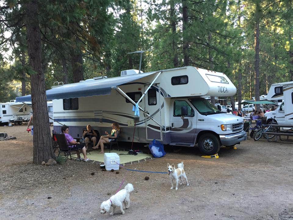 Camper-submitted photo at Siskiyou Beach and Camp near Weed, CA