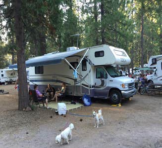 Camper-submitted photo from Siskiyou Beach and Camp