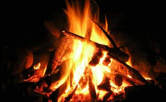 Kari M.'s photo at Darien Lakes State Park Campground near Lockport, NY