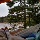Review photo of Cobscook Bay State Park Campground by Tarah W., June 13, 2016