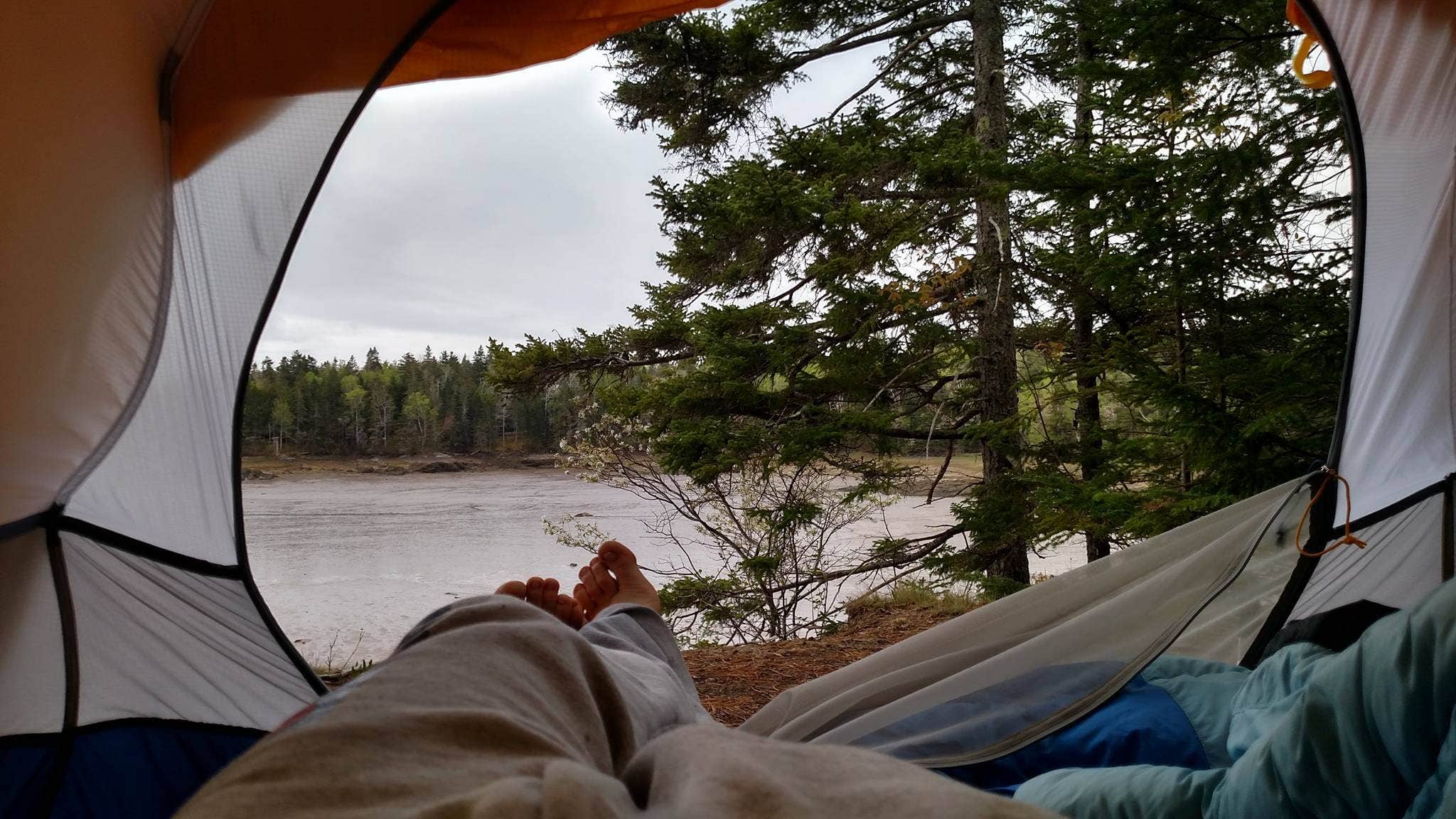 Camper submitted image from Cobscook Bay State Park Campground - 3