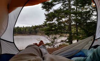 Tarah W.'s photo at Cobscook Bay State Park Campground in Maine