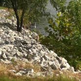 Review photo of Horseshoe Lake State Park Campground by Annie C., September 29, 2016