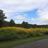Review photo of Crosswinds Campground — Jordan Lake State Recreation Area by Sarah M., September 30, 2016