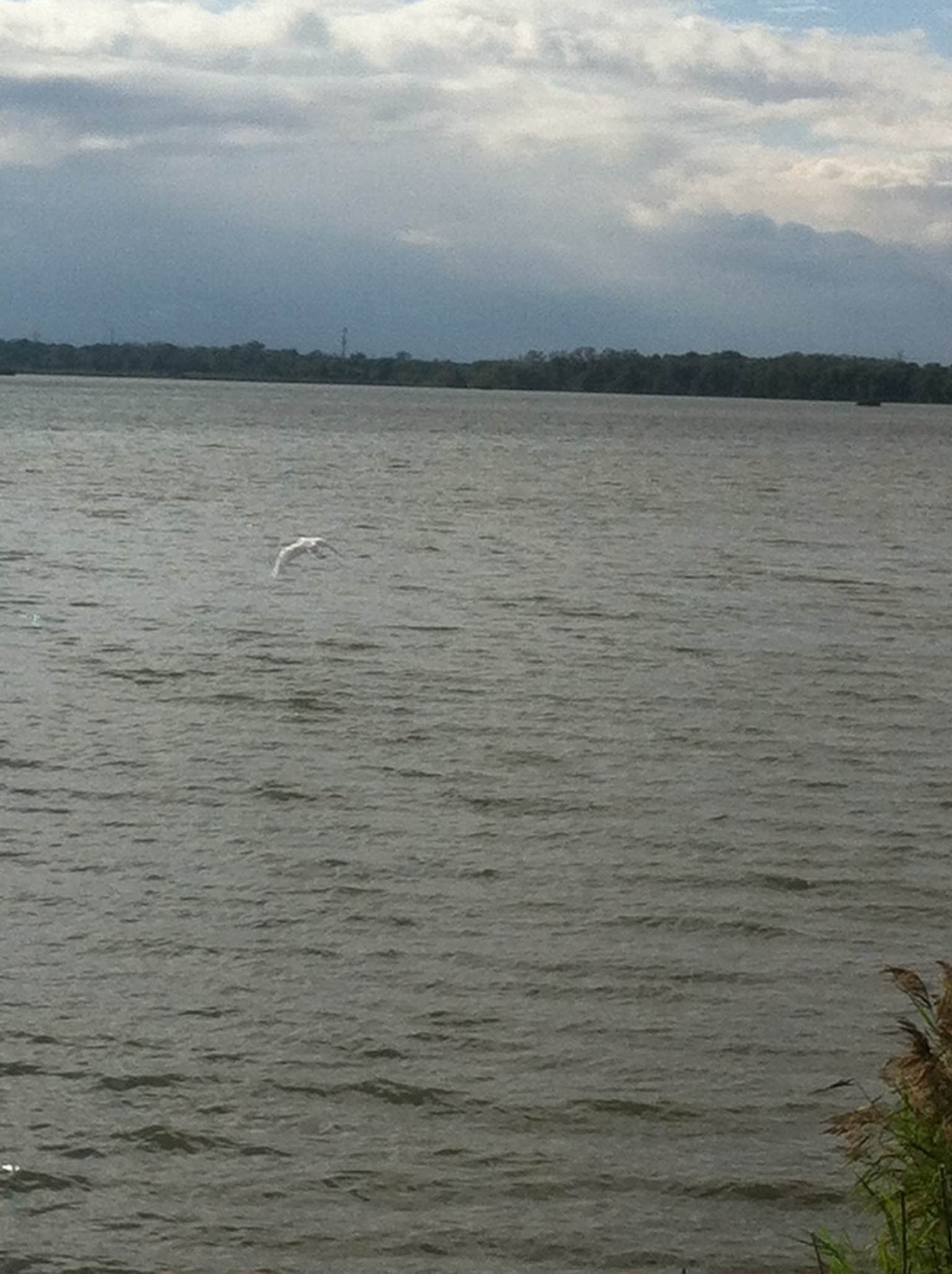 Camper submitted image from Lake Macbride State Park Campground - 4