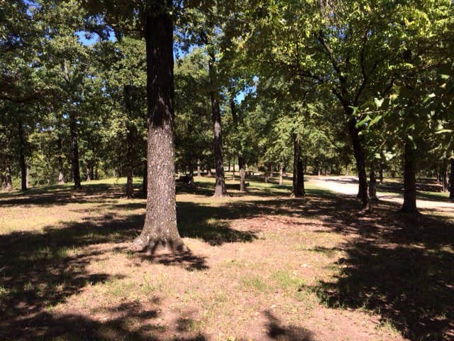 Camper-submitted photo at COE Pat Mayse Lake Pat Mayse Park East near Arthur City, TX