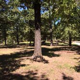 Review photo of COE Pat Mayse Lake Pat Mayse Park East by Micah W., September 30, 2016