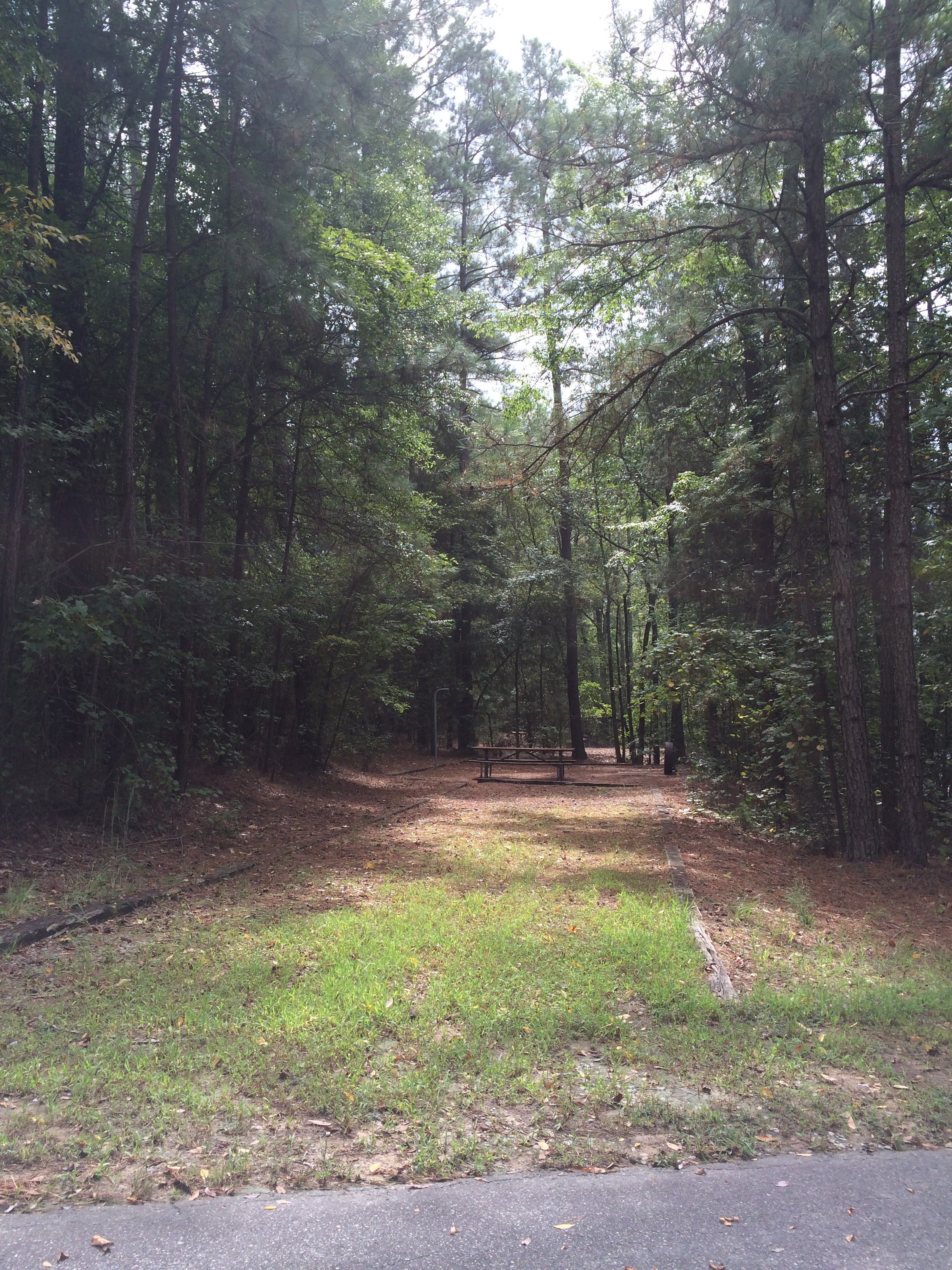 Camper submitted image from Poplar Point Campground — Jordan Lake State Recreation Area - 2