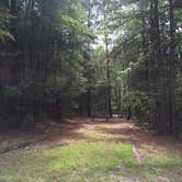 Review photo of Poplar Point Campground — Jordan Lake State Recreation Area by Sarah M., September 30, 2016