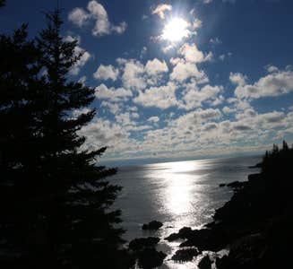 Camper-submitted photo from Blackwoods Campground — Acadia National Park