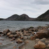 Review photo of Seawall Campground — Acadia National Park by Tarah W., June 13, 2016