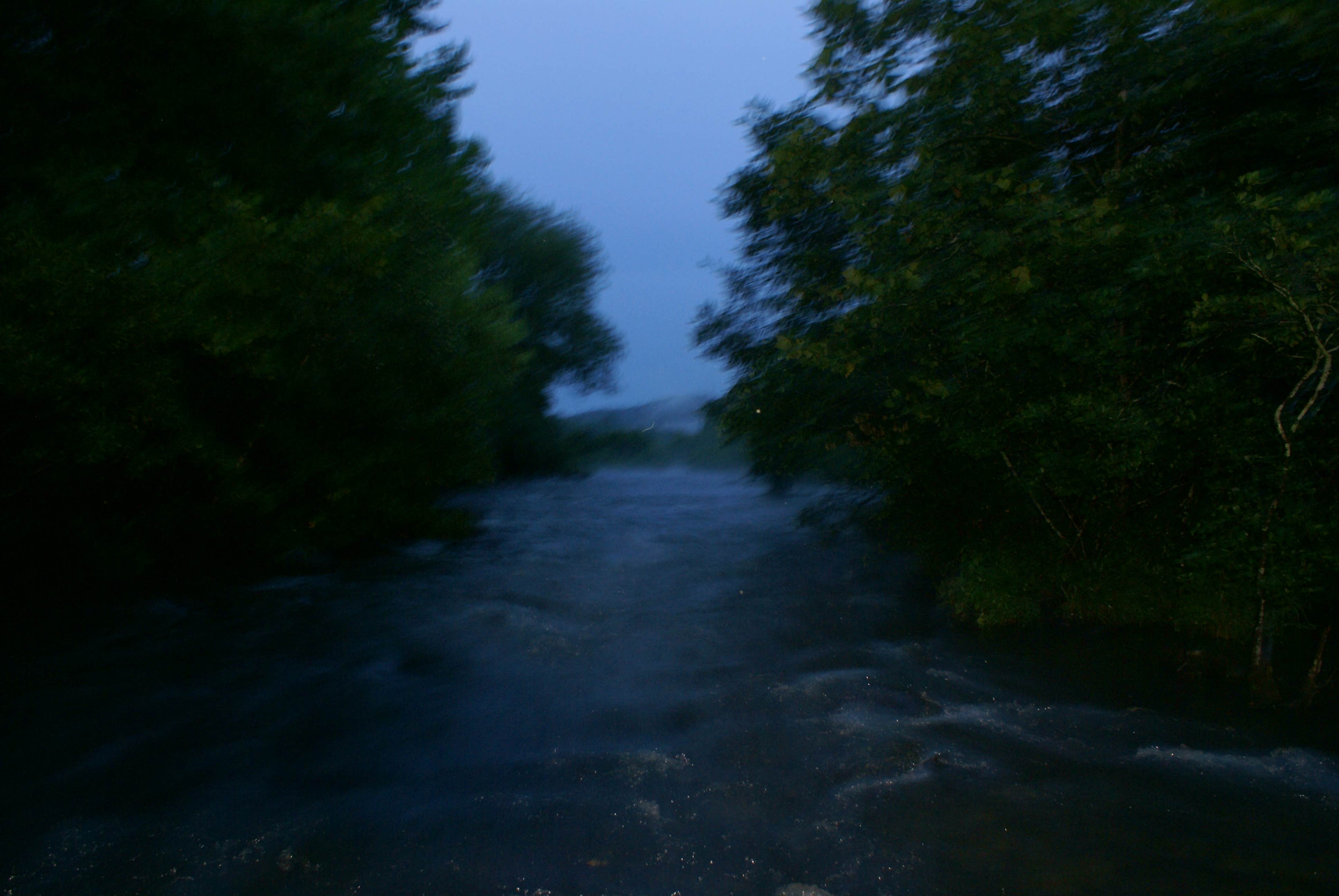 Camper submitted image from Beavers Bend State Park Campground - 5