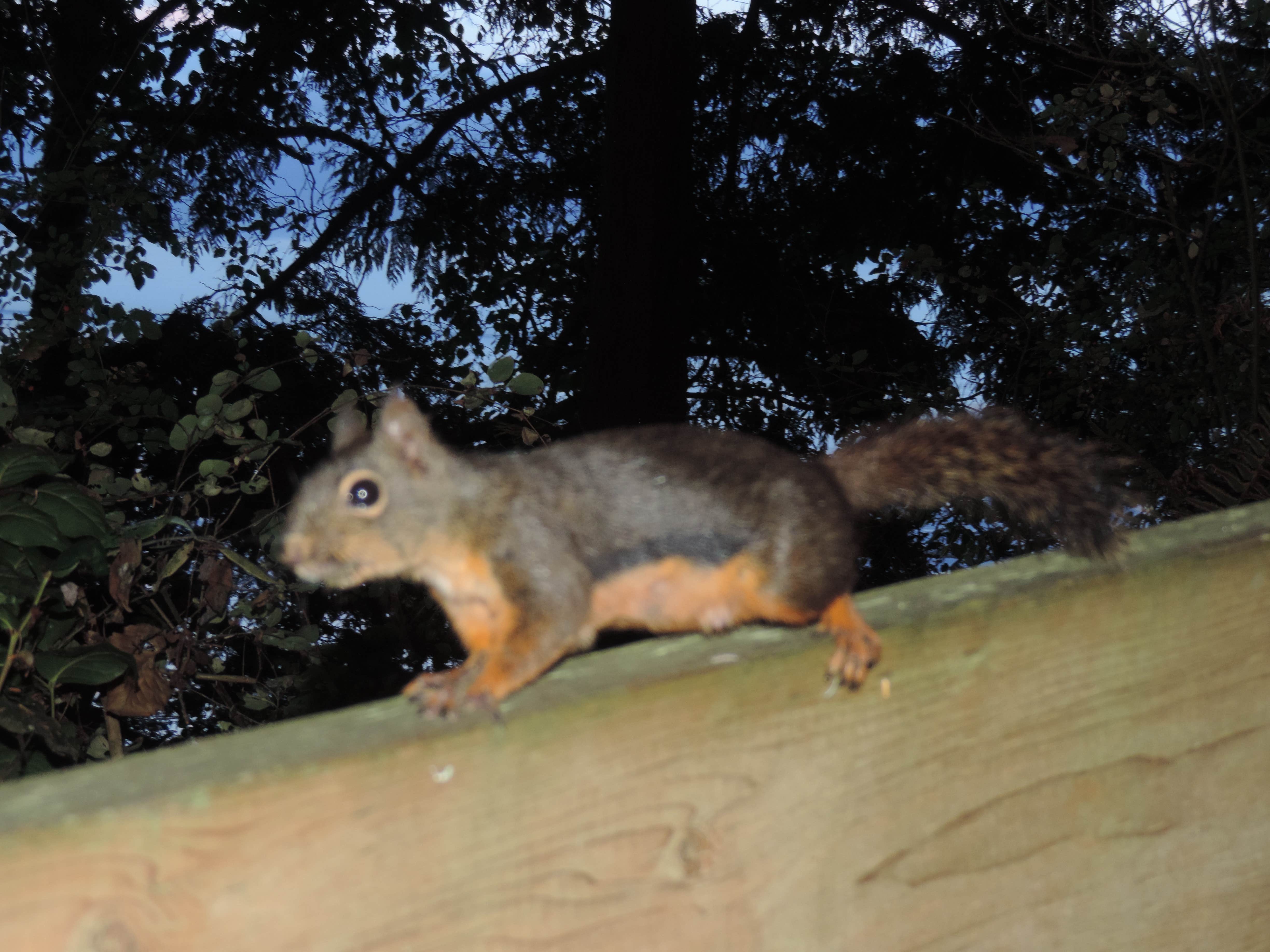 Camper-submitted photo at Salt Creek Recreation Area in Washington