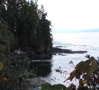 Camper-submitted photo from Quileute Oceanside Resort