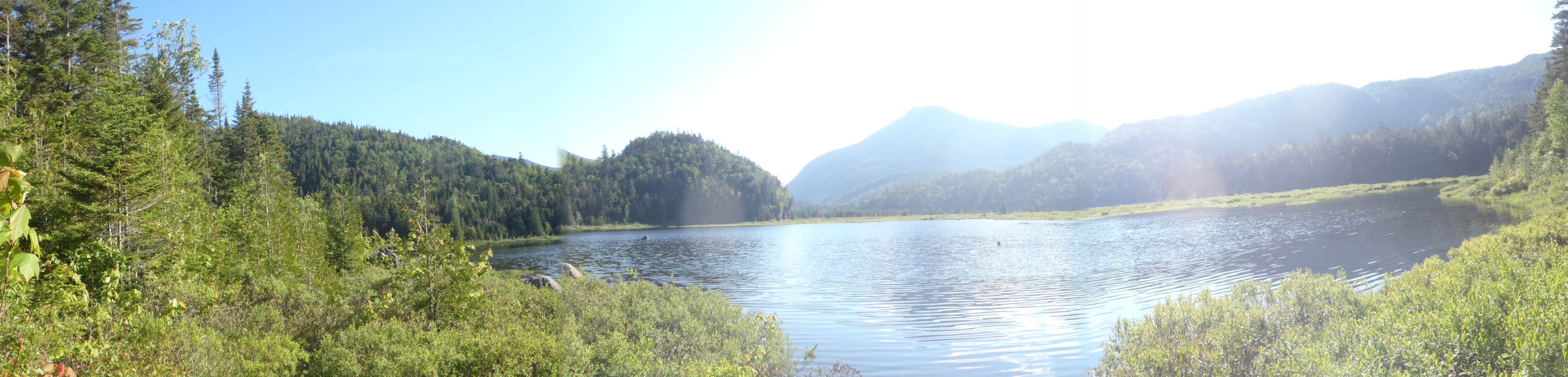 Camper-submitted photo at Flowed Lands near Rainbow Lake, NY