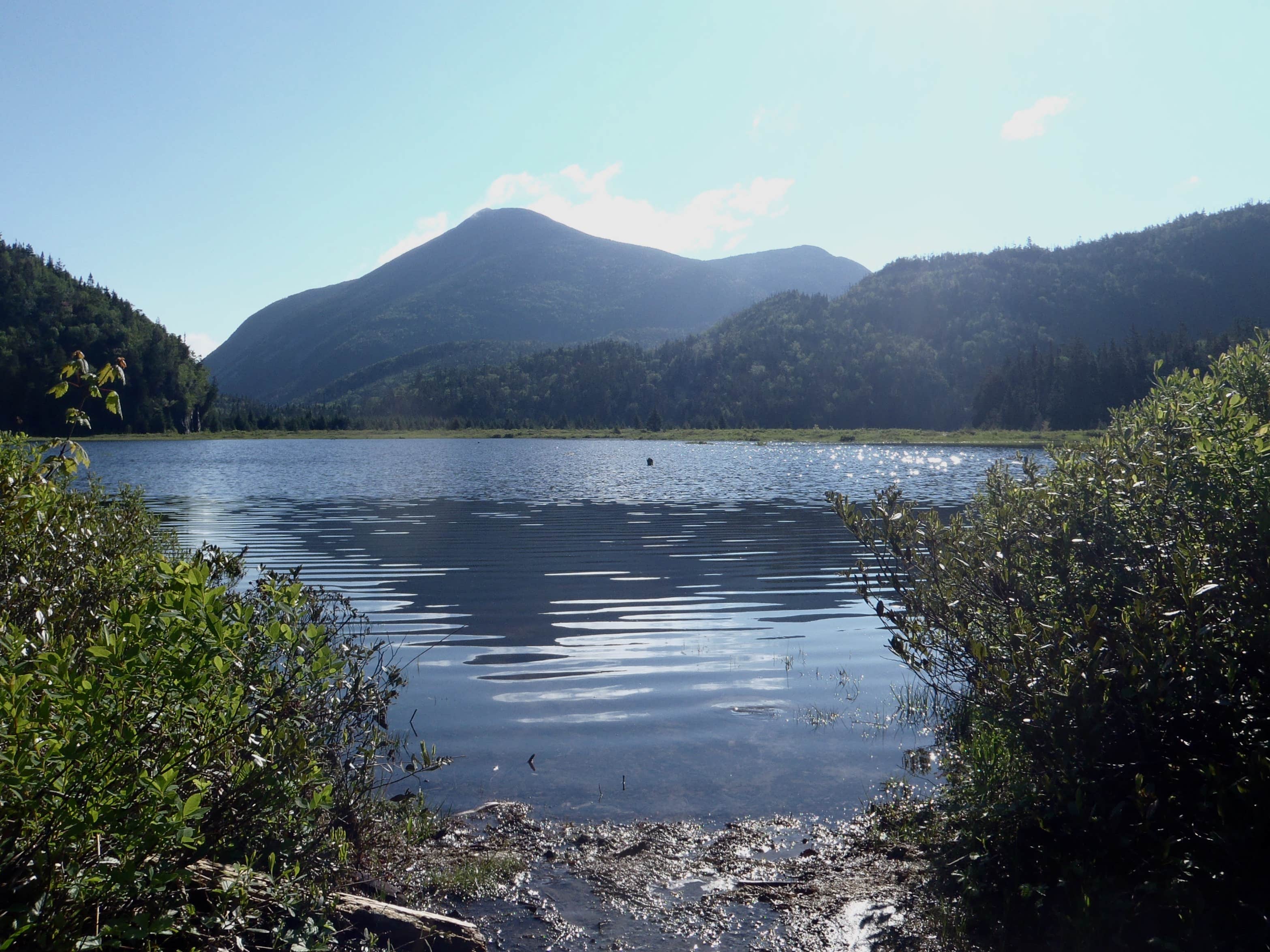 Camper submitted image from Flowed Lands - 3