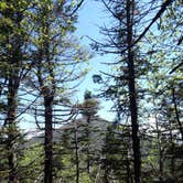 Review photo of Flowed Lands by Isabel D., September 30, 2016