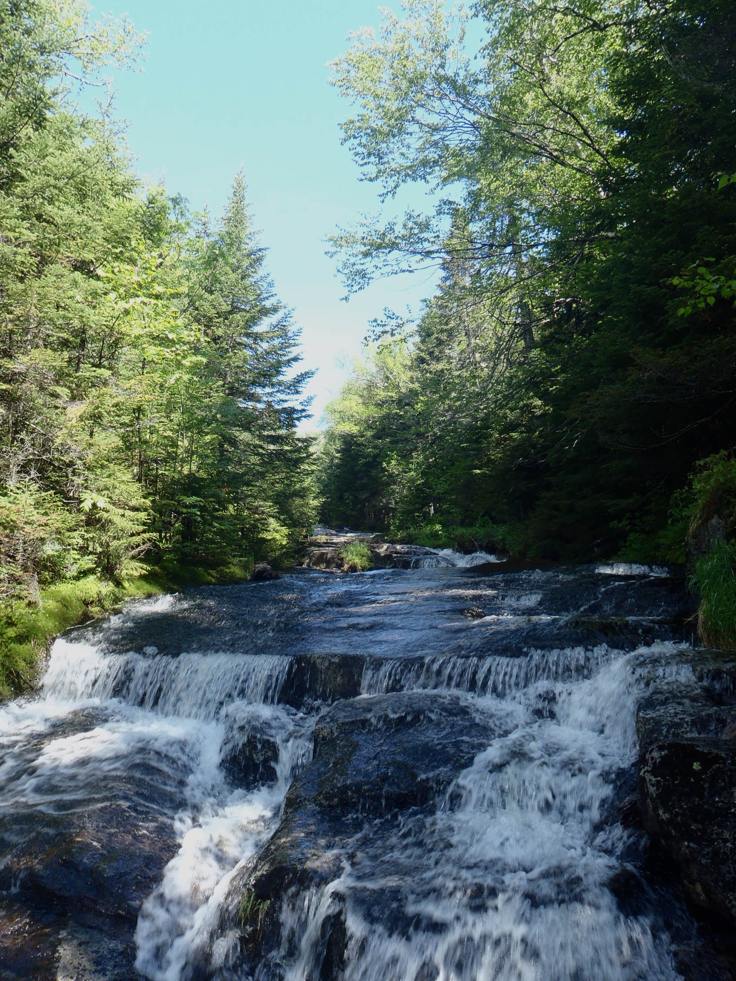 Camper-submitted photo at Flowed Lands near Rainbow Lake, NY