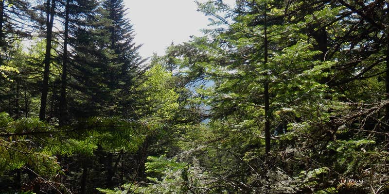 Camper submitted image from Flowed Lands