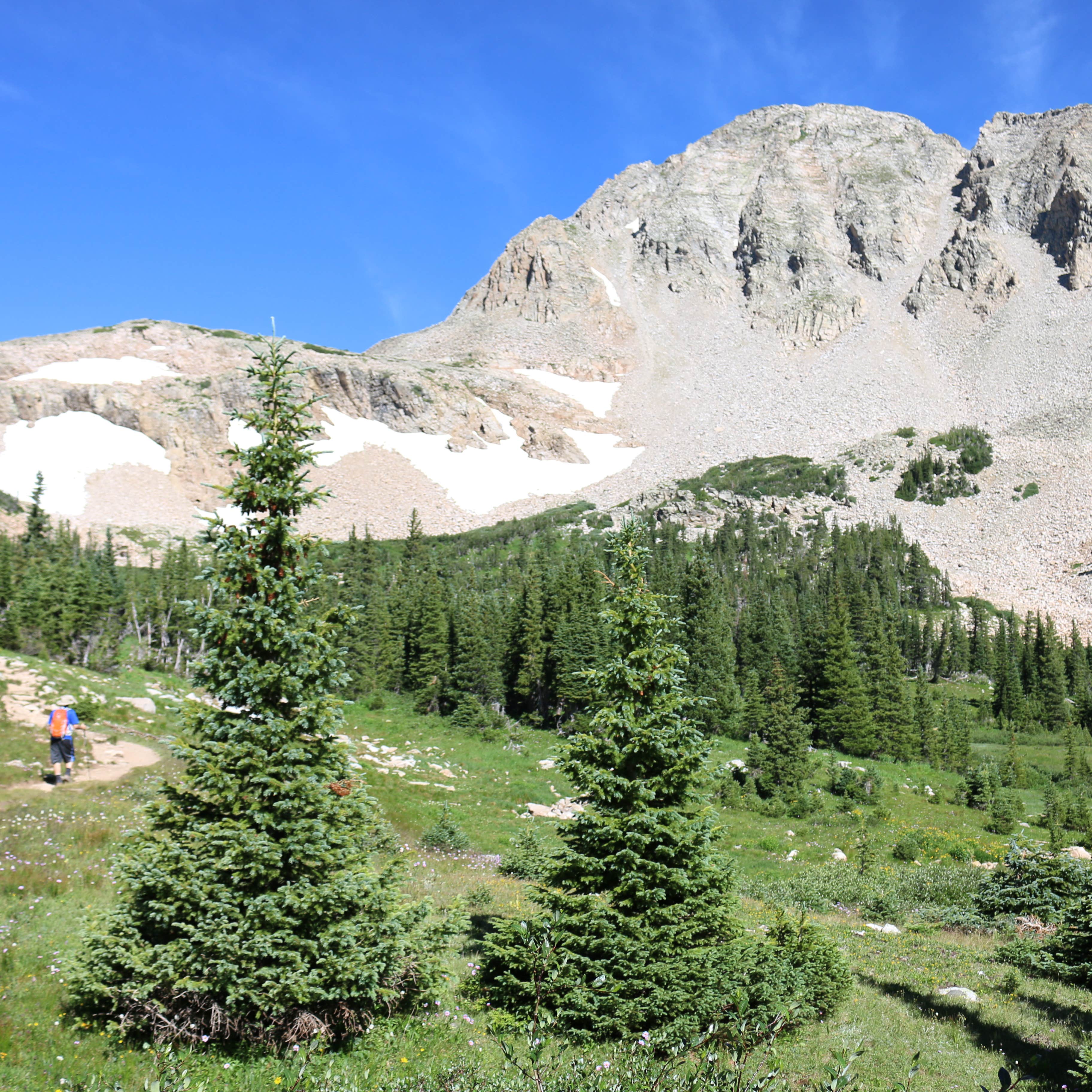 Escape to the Pines: Colorado's Pine Cove Campground Beckons